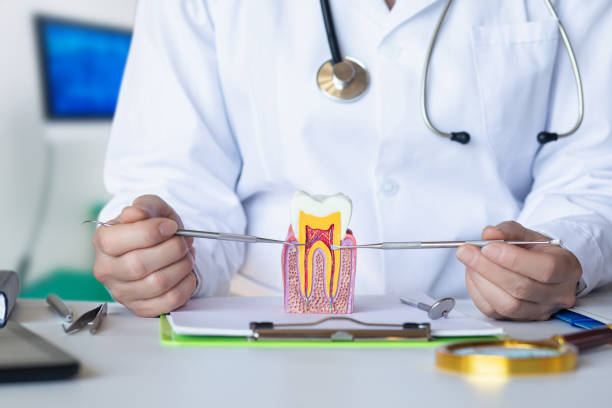 Best Emergency Dentist for Knocked-Out Tooth in Leisure Knoll, NJ